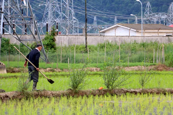 A Man and His Land thumbnail