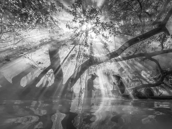 Fisherman and Beautiful Nature thumbnail