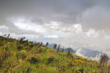 Transcaucasian Trail