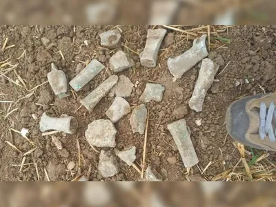 The 13-year-old discovered the cache on her third metal-detecting outing.