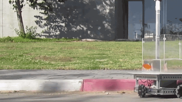 A gif image of a fish navigating a tank on wheels