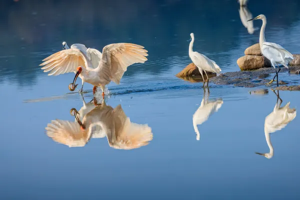 Look at me thumbnail