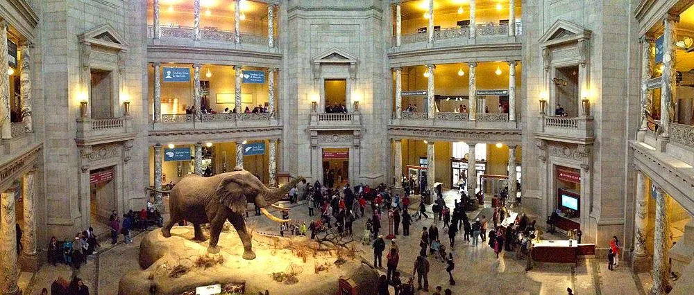 National Museum of Natural History