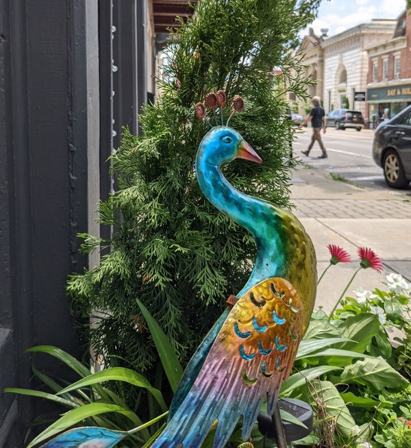 Peacock Views Crosswalk thumbnail