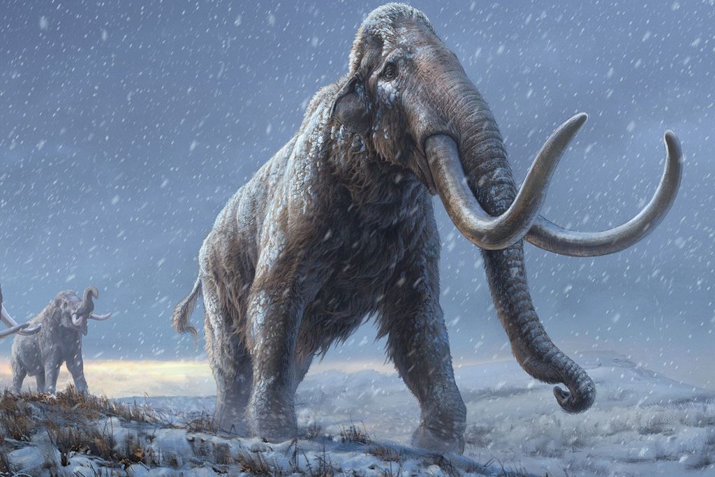 Steppe Mammoths