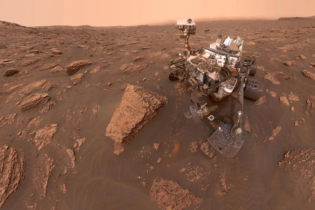 Curiosity selfie