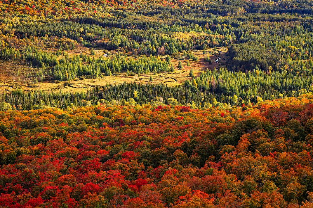 The peak of fall foliage in the Adirondack State Park as seen from a