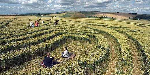 Crop Circles: The Art of the Hoax