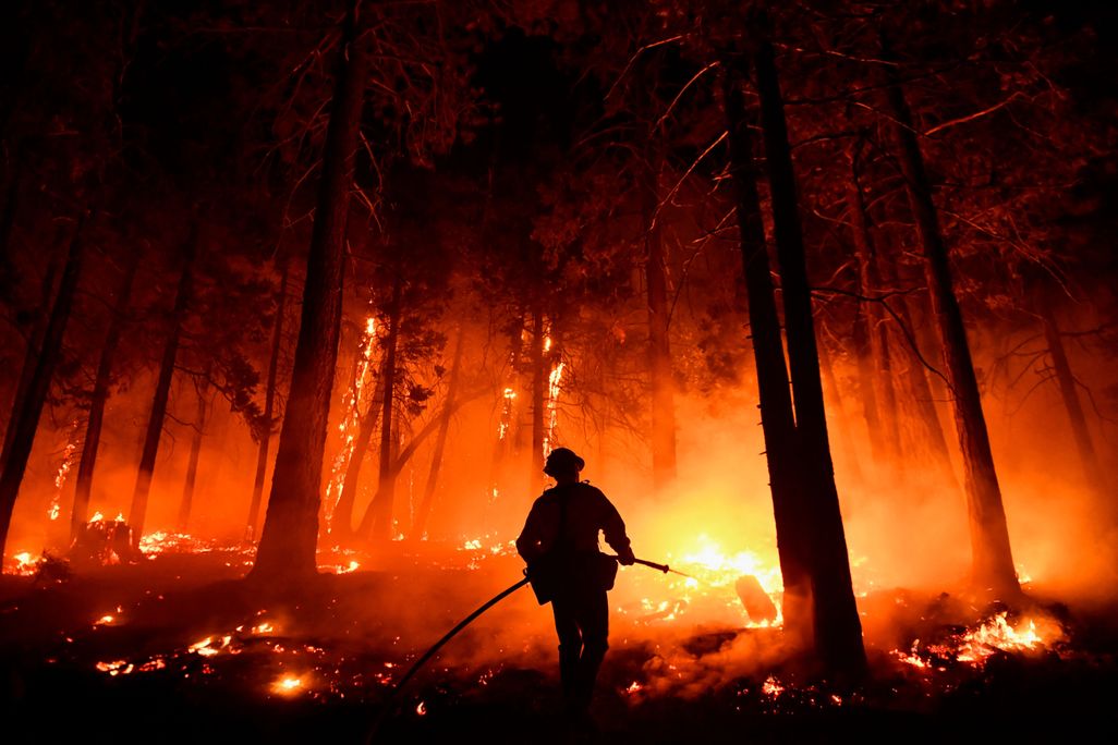 A forest burns against a black silhouette of a fire fighter