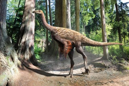An illustration of Ornithomimus based on the findings of preserved tail feathers and soft tissue