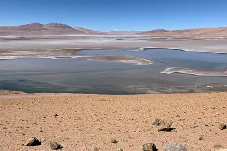 Life could have originated on Mars in an environment like this salt flat in South America's Altiplano region.