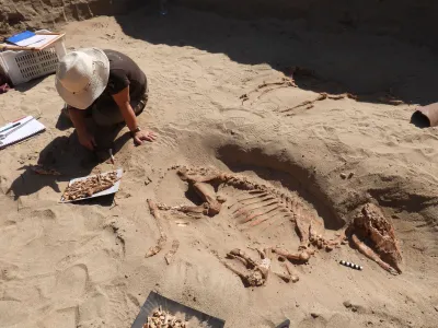 Letters Written by Ancient Roman Commanders Have Been Found in a Pet Cemetery in Egypt image