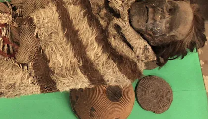 DNA Preserved in Lice Glue Reveals South American Mummies&rsquo; Secrets