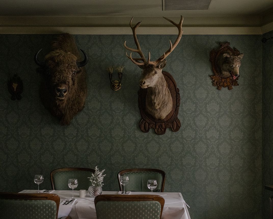 Bison Grass Hotel