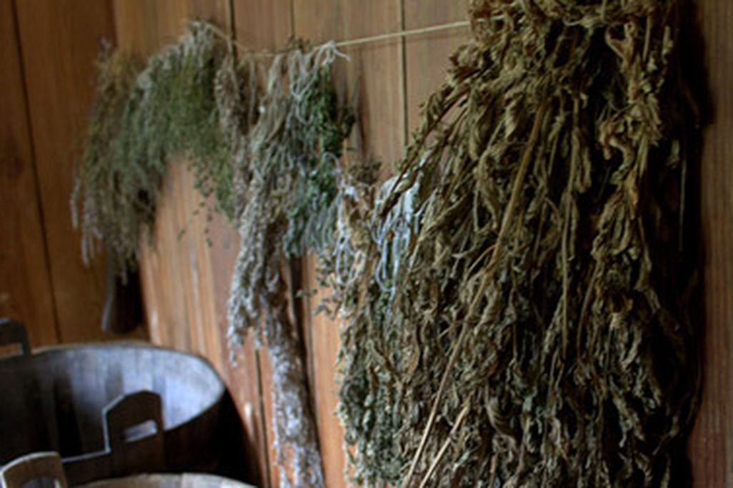 Dried herbs