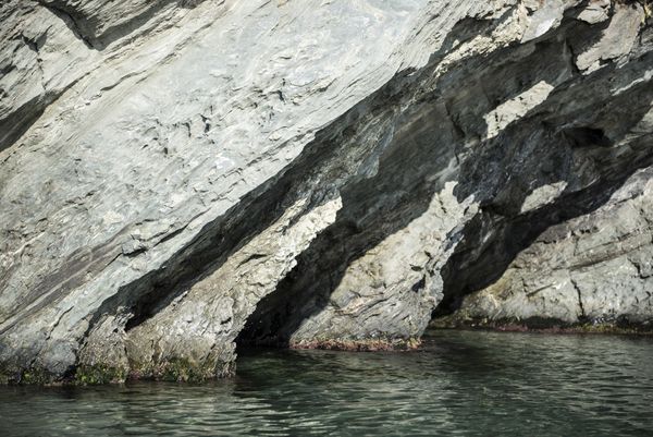 The Cove thumbnail