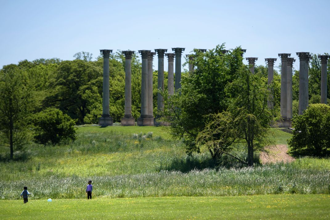 Columns at the National Arboretum