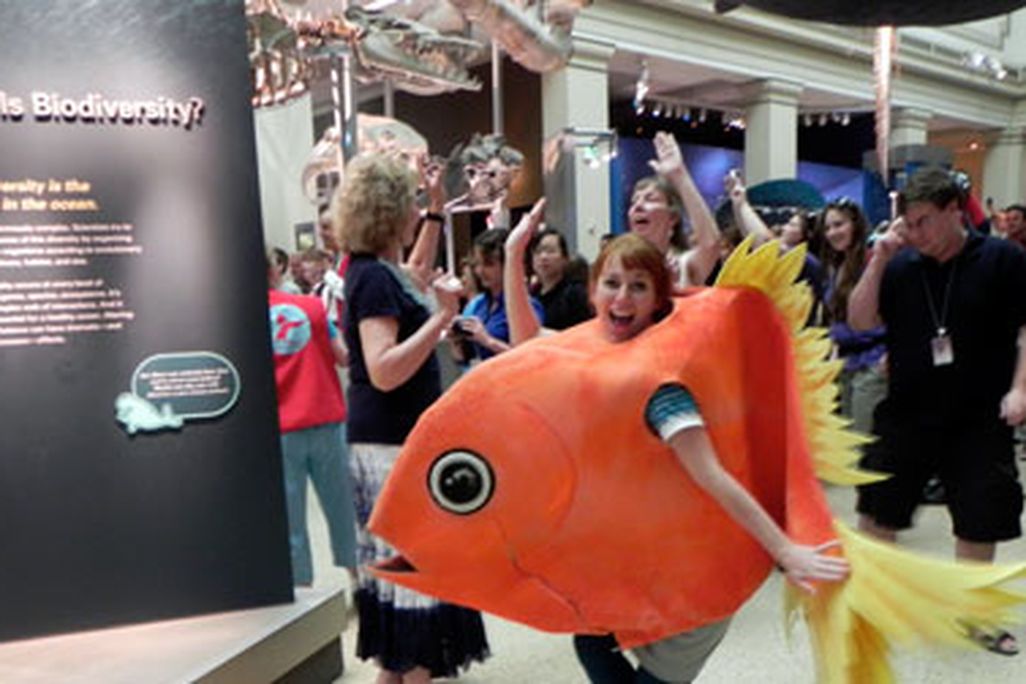 20110607022003splash-mob-orange-roughy.jpg