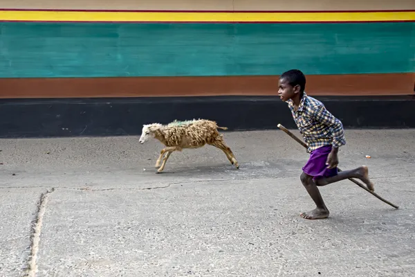 Race to Home thumbnail