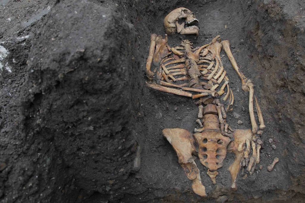 A skeleton surrounded by dark brown dirt and mud; the bones are arranged lying down with the head turned to one side, all yellowed