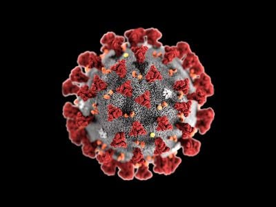 This illustration, created by the Centers for Disease Control and Prevention (CDC), shows the virus' spiky, crown-like fringe that shrouds each viral particle—giving it a “coronated” appearance.