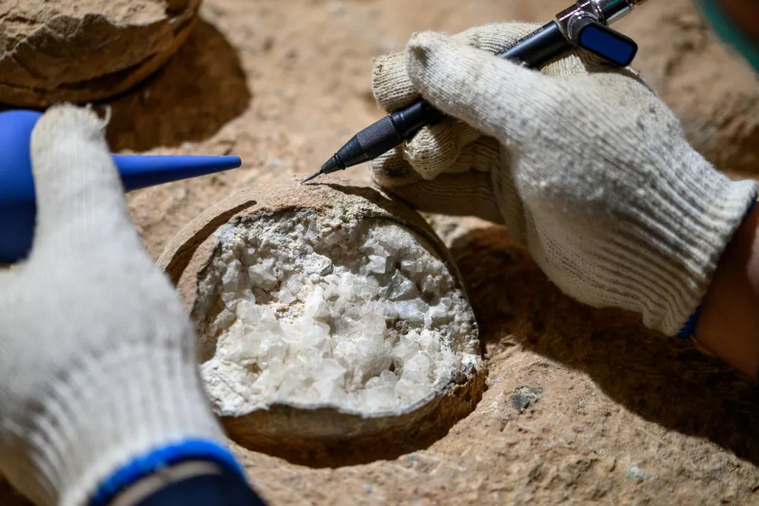 gloved hands examine minerals inside a fossilized dinosaur egg