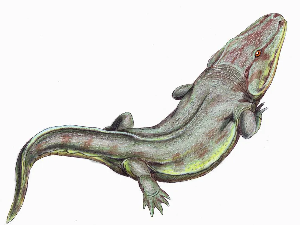 Rhinesuchus