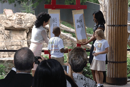Michelle Obama and Madame Peng reveal the name of the Zoo's new giant panda cub: Bei Bei.