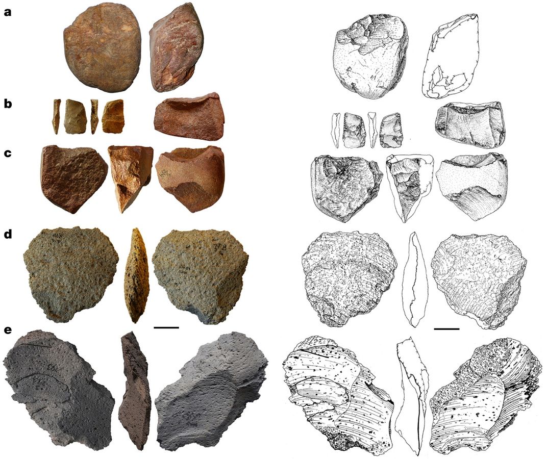 A side-by-side of pictures of stone tools and black-and-white drawings of the tools