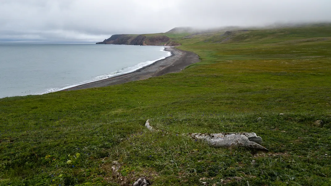 The Alaskan Island That Humans Can’t Conquer
