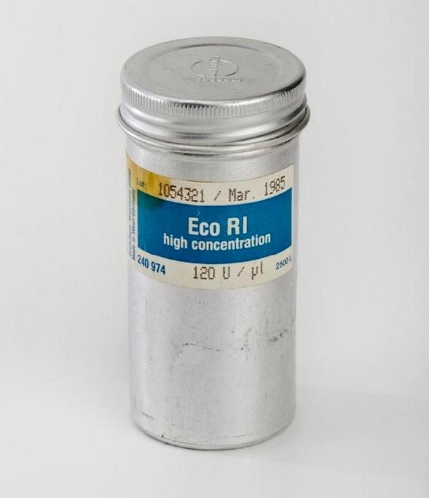 container for Eco R1