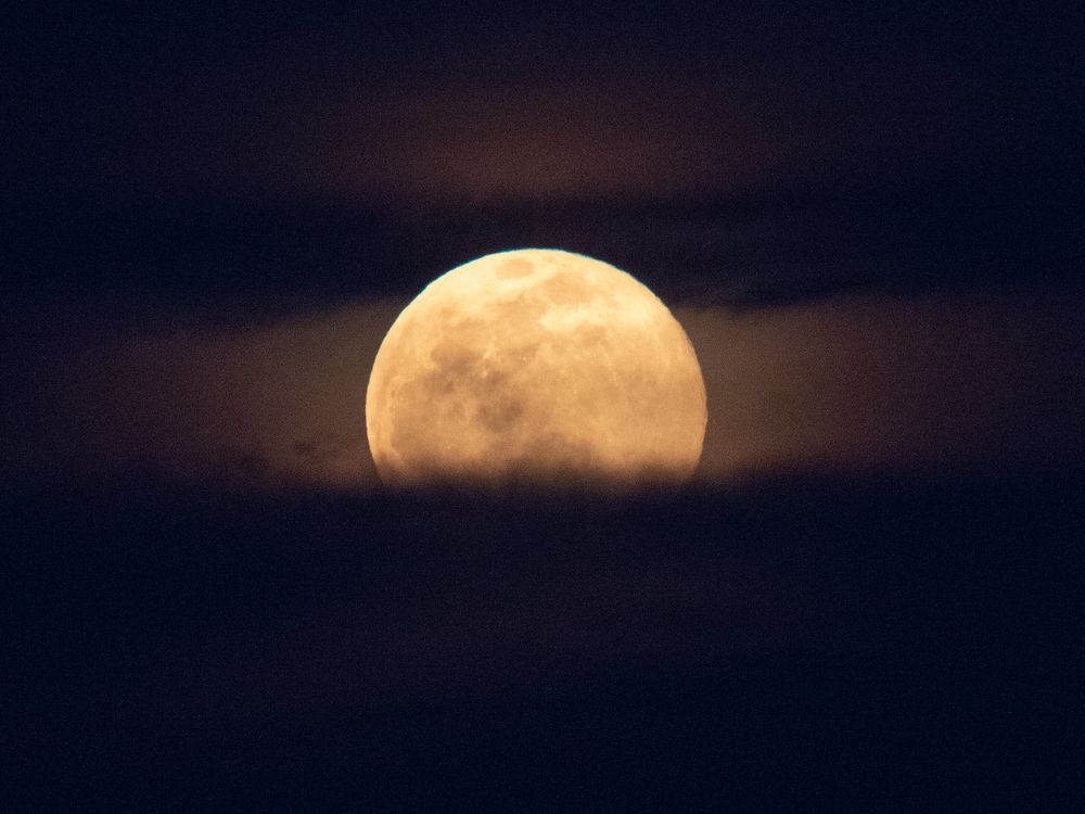 How Rare Is the 'Super Blue Moon' Appearing in Skies Later This Week