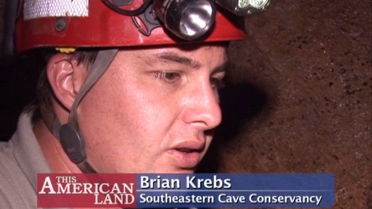 Preview thumbnail for Are Spelunkers Carrying the White-Nose Fungus?