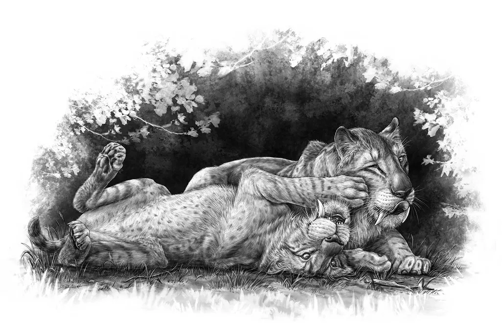 Young Sabercats