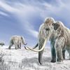 Mammoth and Horse DNA Left in Freezer Rewrite Ice Age Extinctions icon