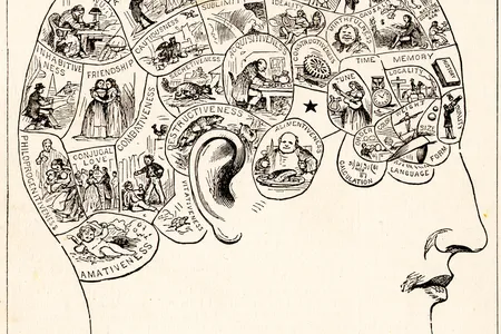 A typical 19th-century phrenology chart