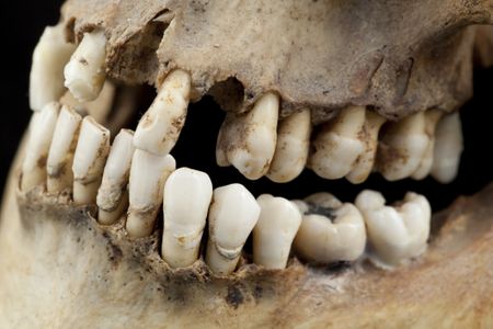Scientists studied ancient teeth for their findings.