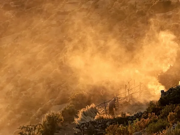 Gone with the fire thumbnail