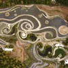 This Park Recreates Vincent van Gogh's 'The Starry Night' With a Dazzling Display of Plants, Trees and Winding Pathways icon