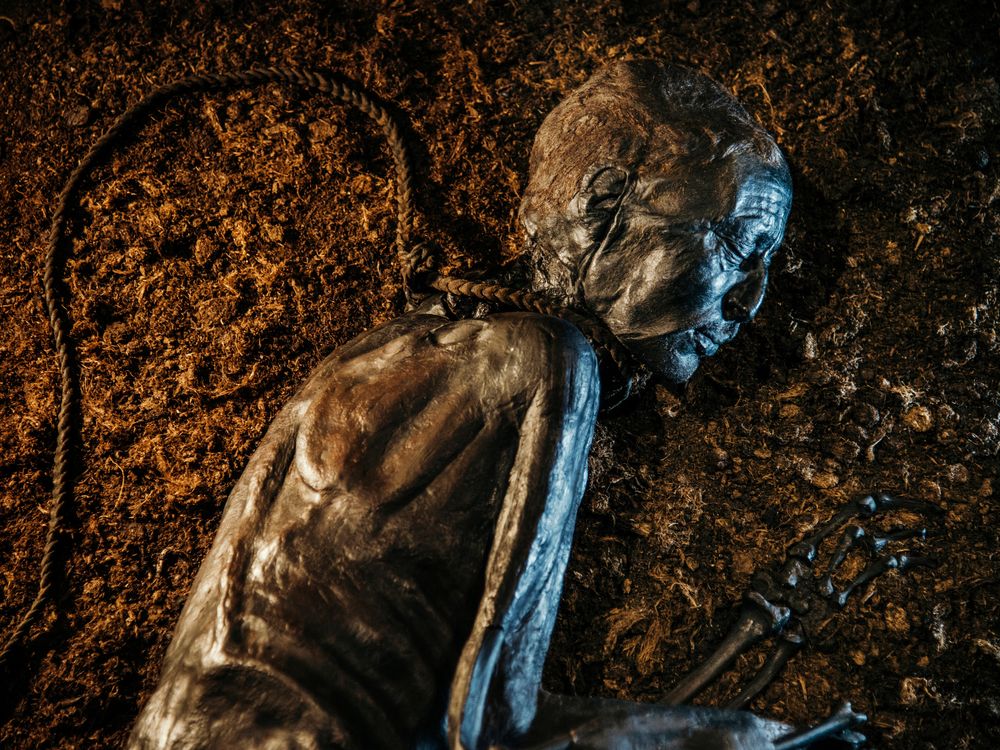 Tollund Man