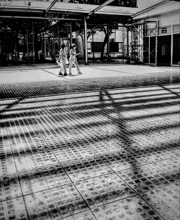 Patch of Sunlight thumbnail