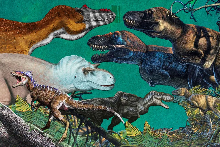 A variety of tyrannosaurs roamed the planet before T. rex evolved.