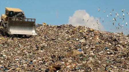 Projections indicate that our rate of trash production will keep rising past 2100—a concern, because waste can be a proxy for all other environmental stresses.