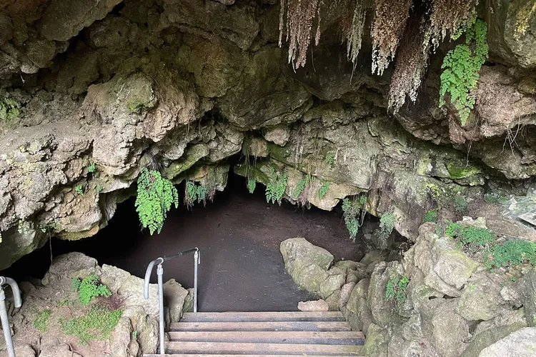 Auckland Cave Opening