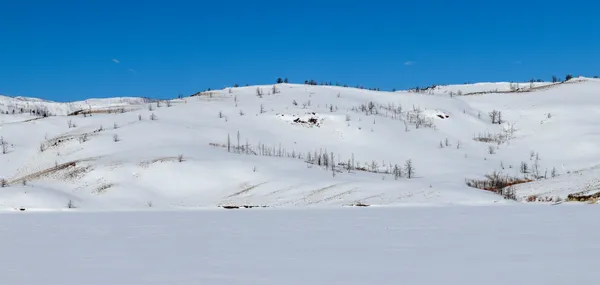 Simply Scenic thumbnail