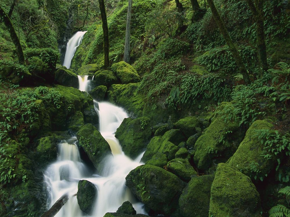 california stream