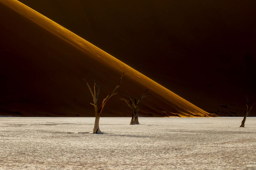 Against the towering dune’s golden edge, the ghostly trees of Deadvlei reach into eternity. Time has stripped them bare, yet they endure — silent witnesses to a vanished world. In this stillness, light and shadow dance across the desert floor, revealing beauty in desolation.