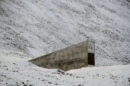 The Svalbard seed bank is one of many seed libraries in the world, and one of the best funded.