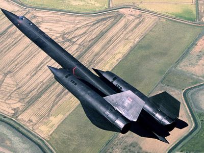 Blackbird opener.jpg