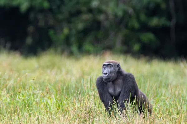 Moments in the Bai thumbnail